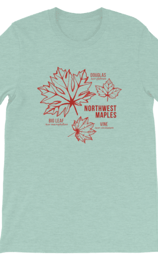 Northwest Maples